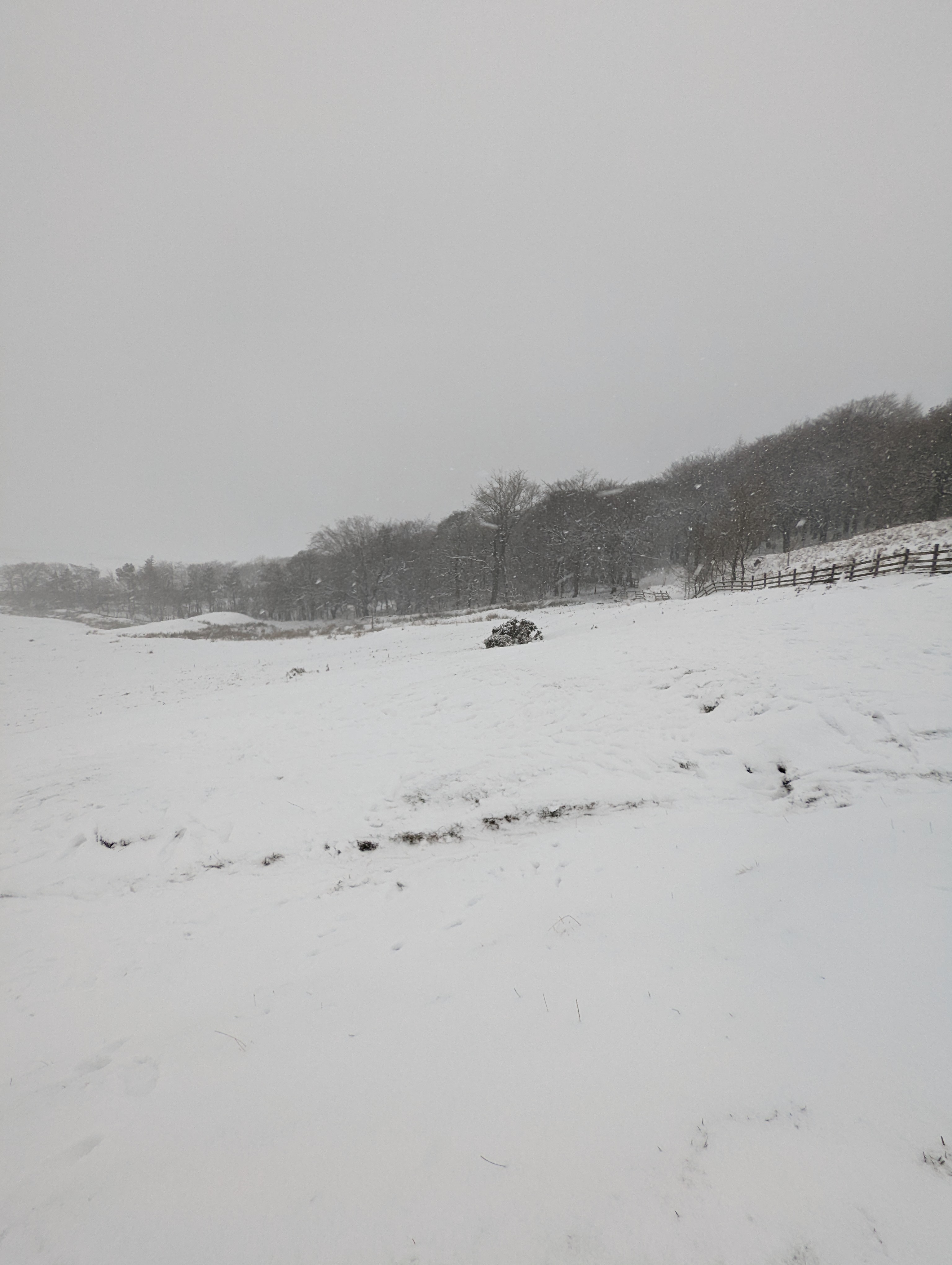 snowy scene Peak District