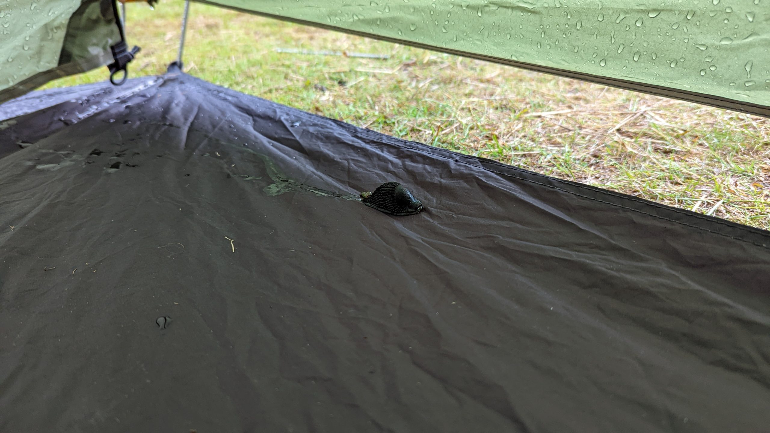 slug in tent porch