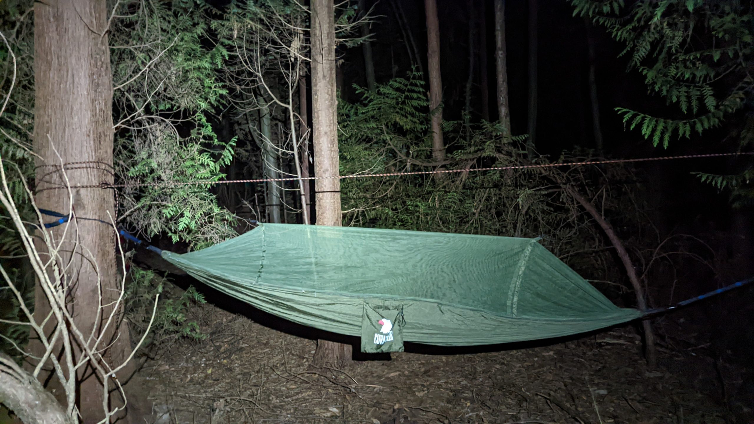 bivvy, hammock or tent