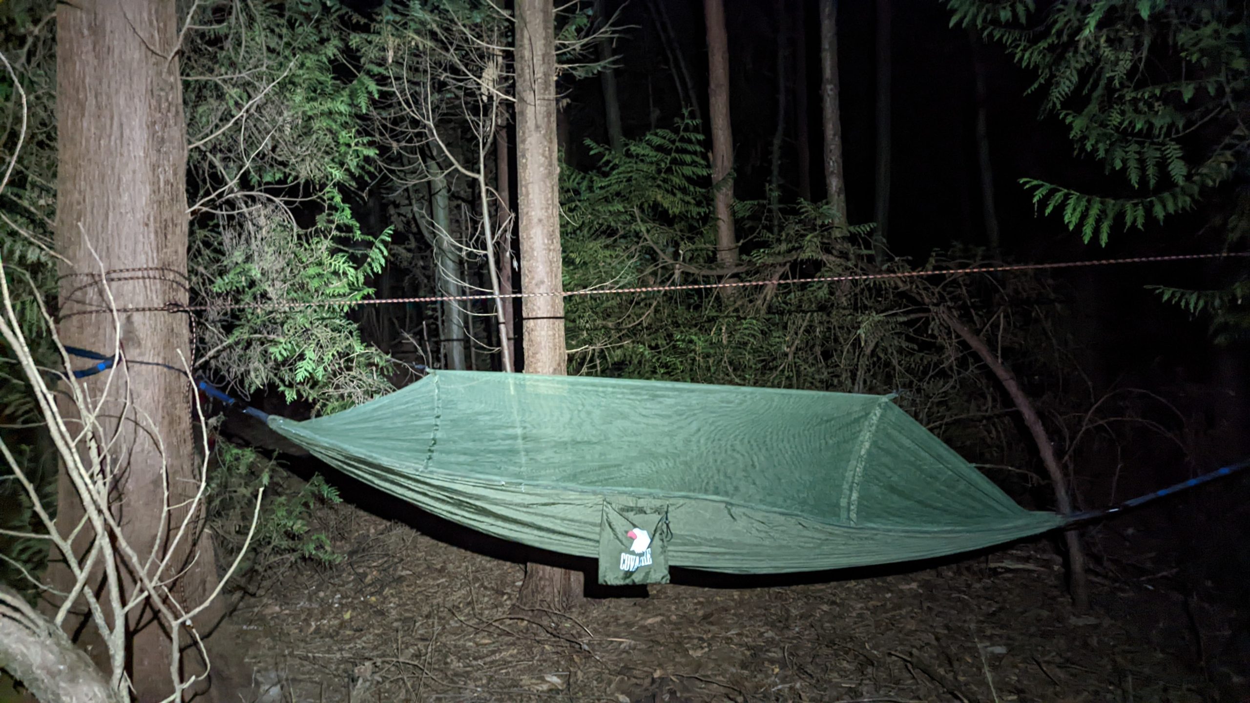 COVACURE Outdoor Hangmat Met Muggennet – 200 Kg Draagvermogen Voor 2 Personen