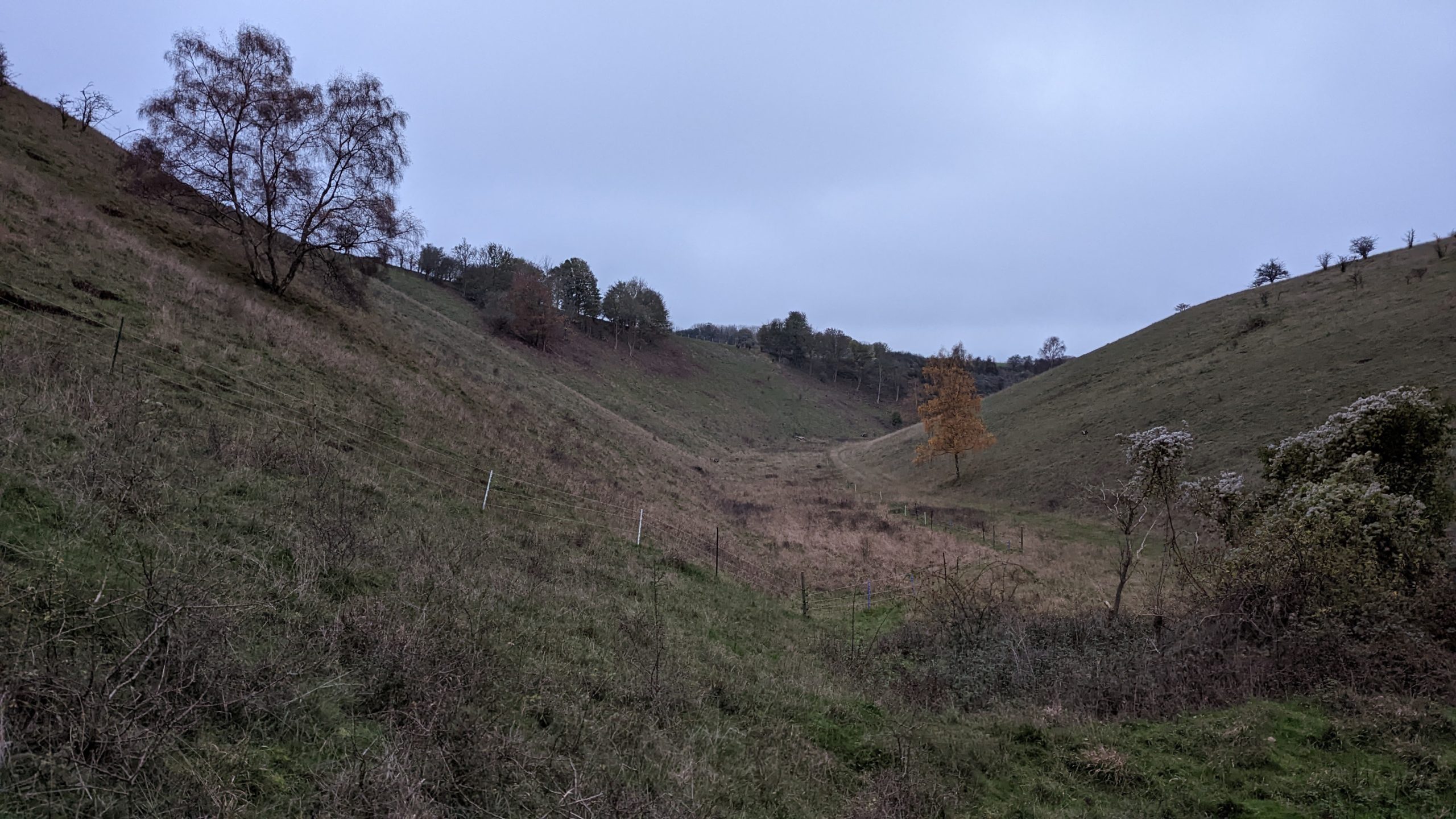 wild camping in the Chilterns