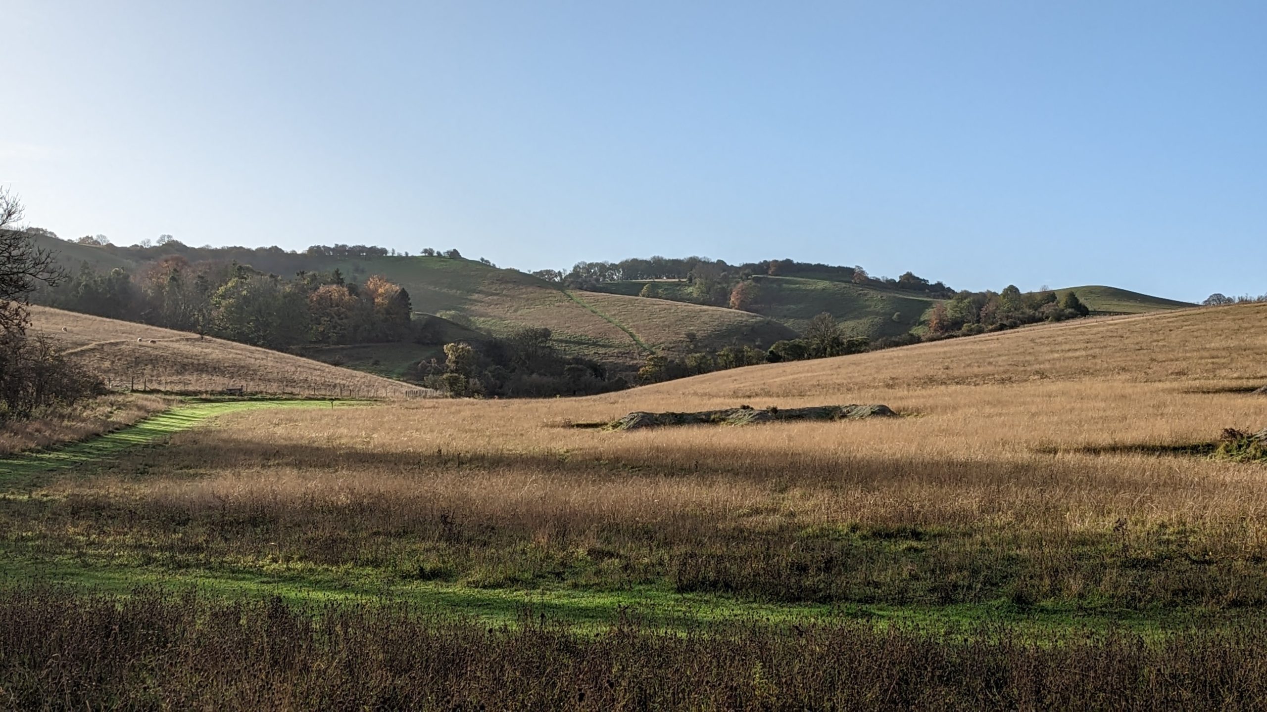 wild camping in the Chilterns