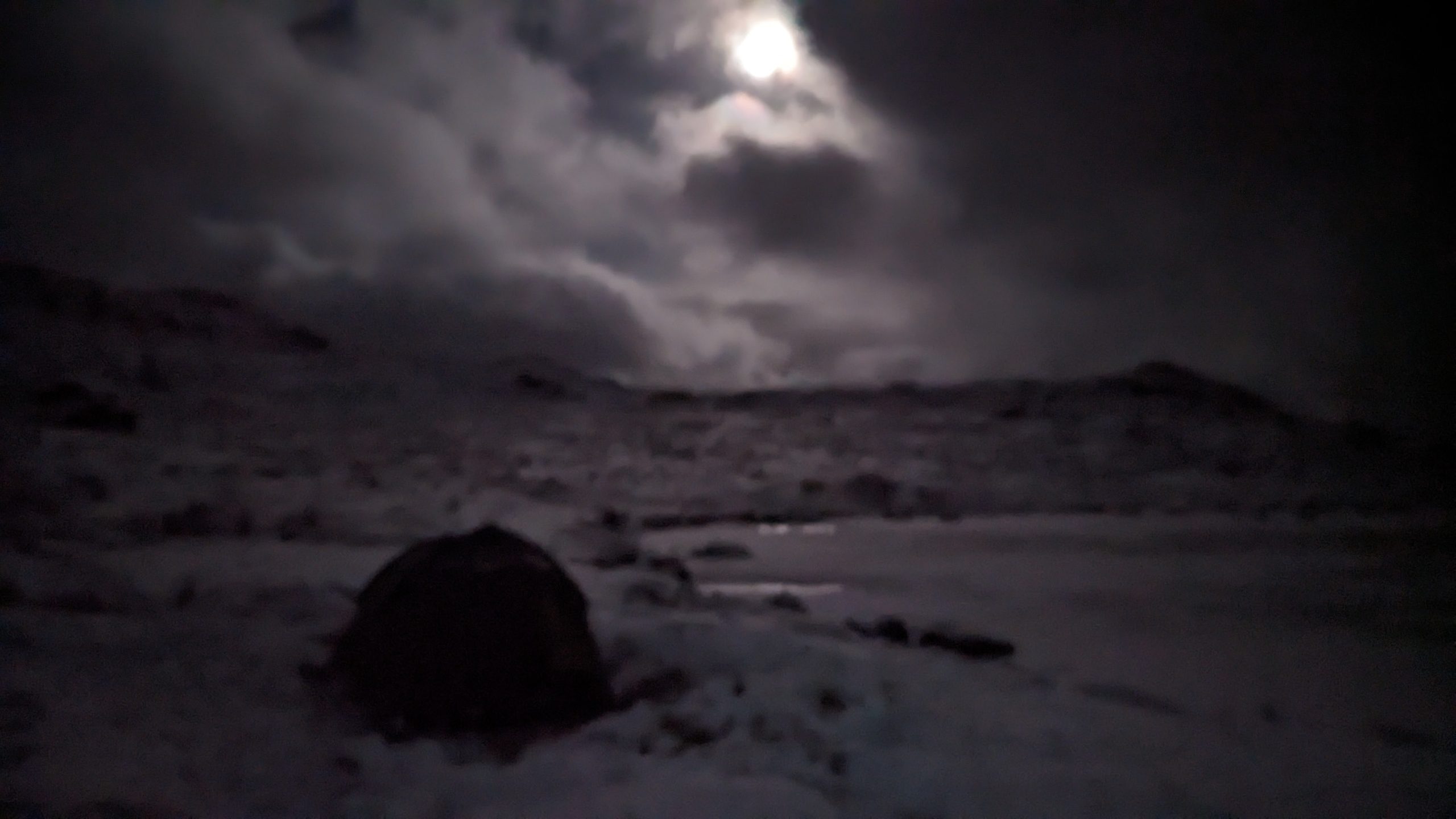 first wild camp in snow