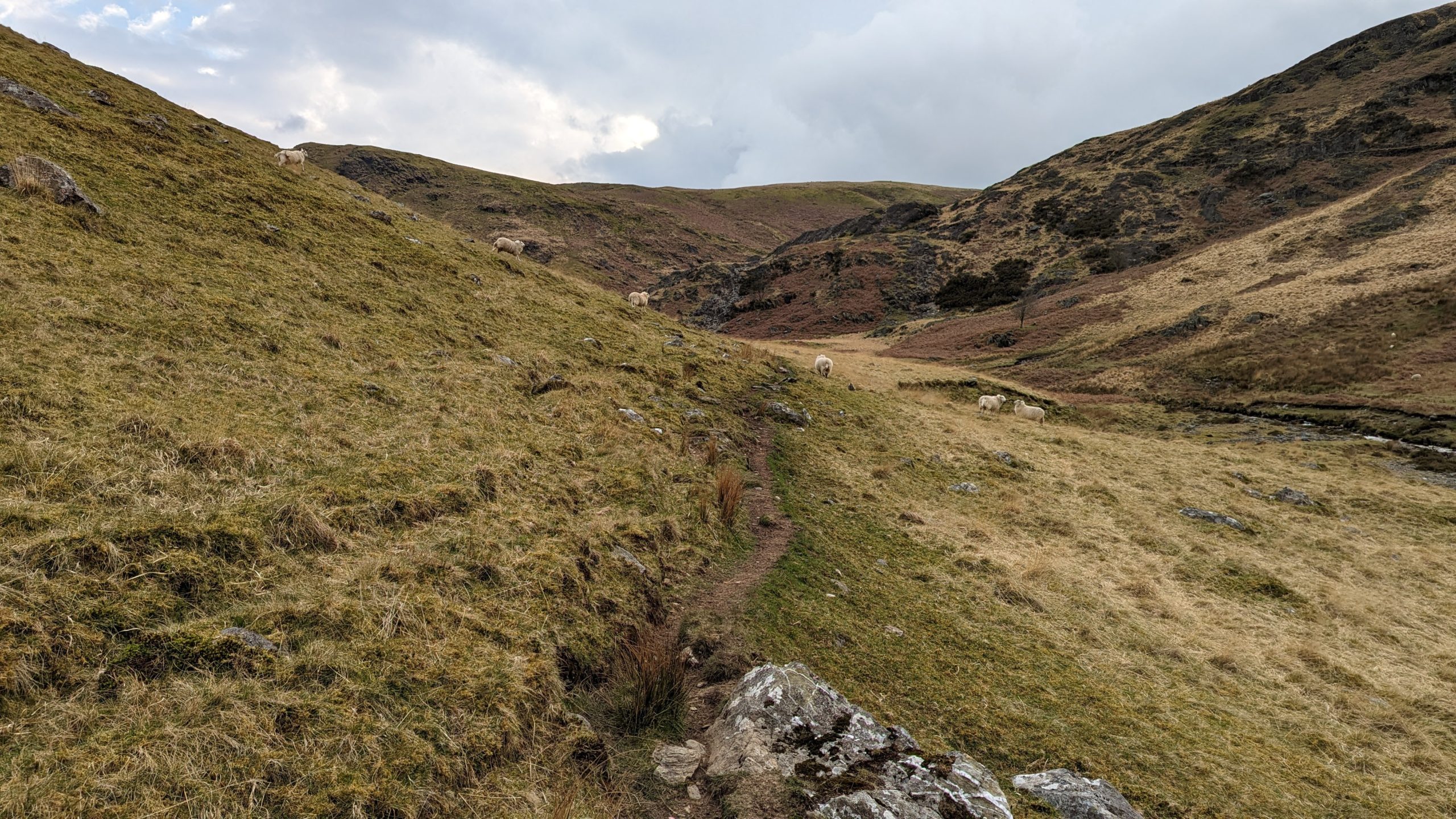 Cambrian Mountains