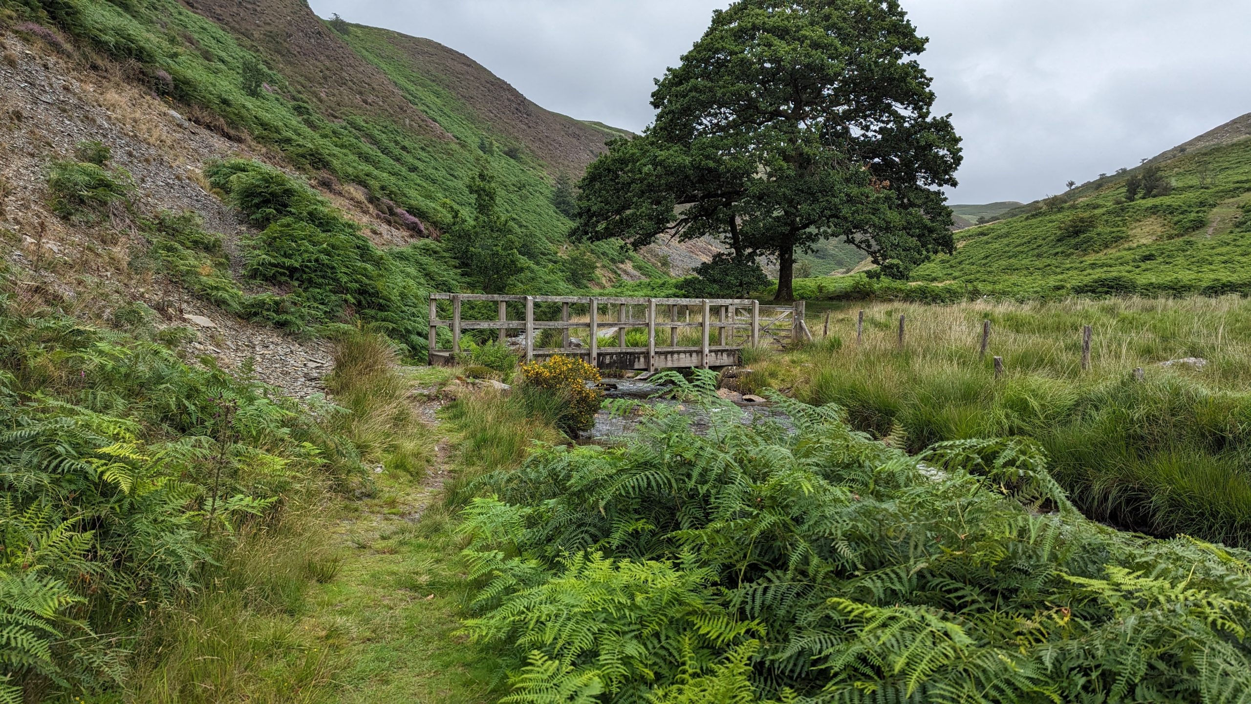 wildest walk in Wales