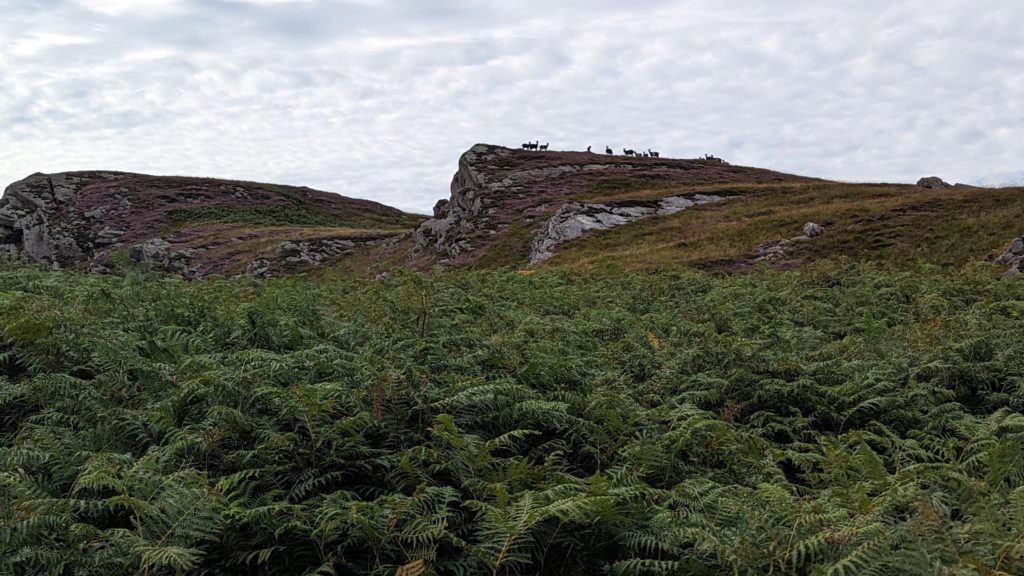 walking the Jura coast