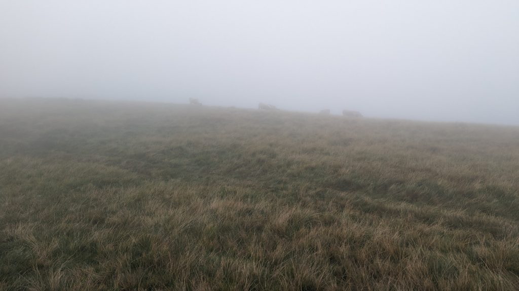 walk in the Howgills