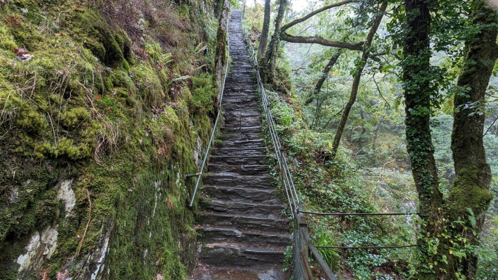 stairs at Devil's Bridge Falls