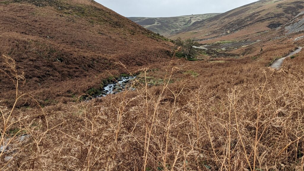 staying at Lingy Hut Bothy