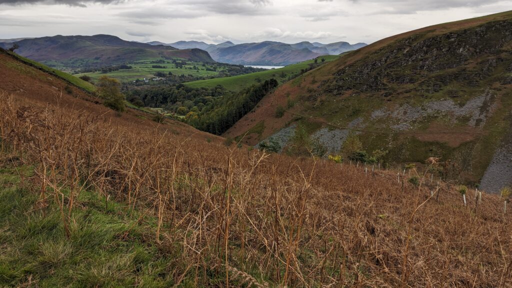 Lake District view