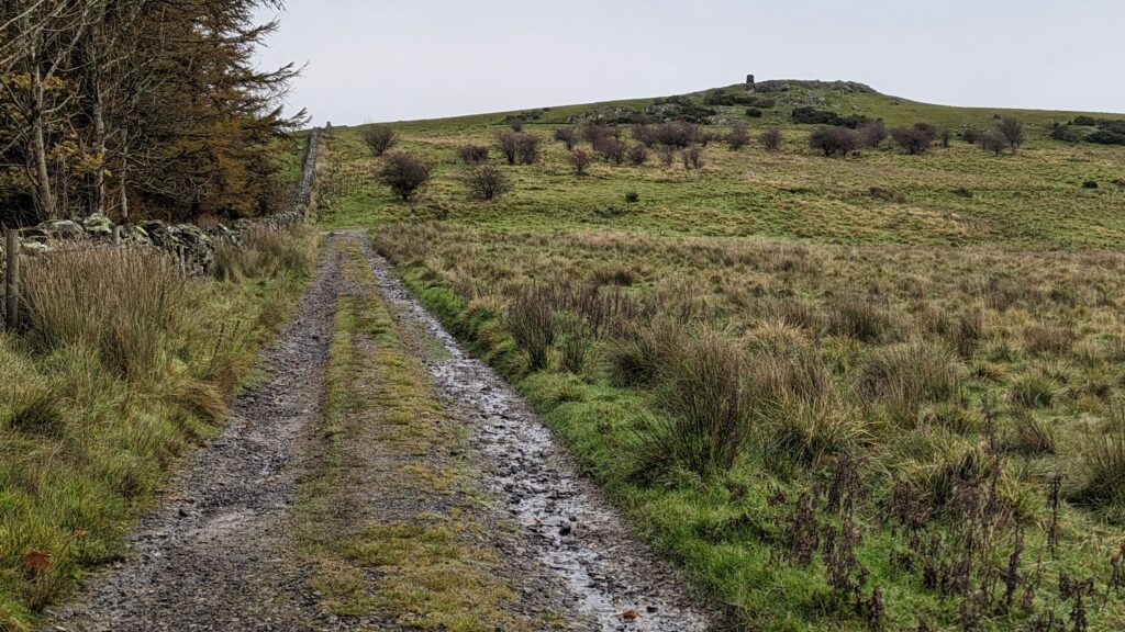 walking Binsey Fell