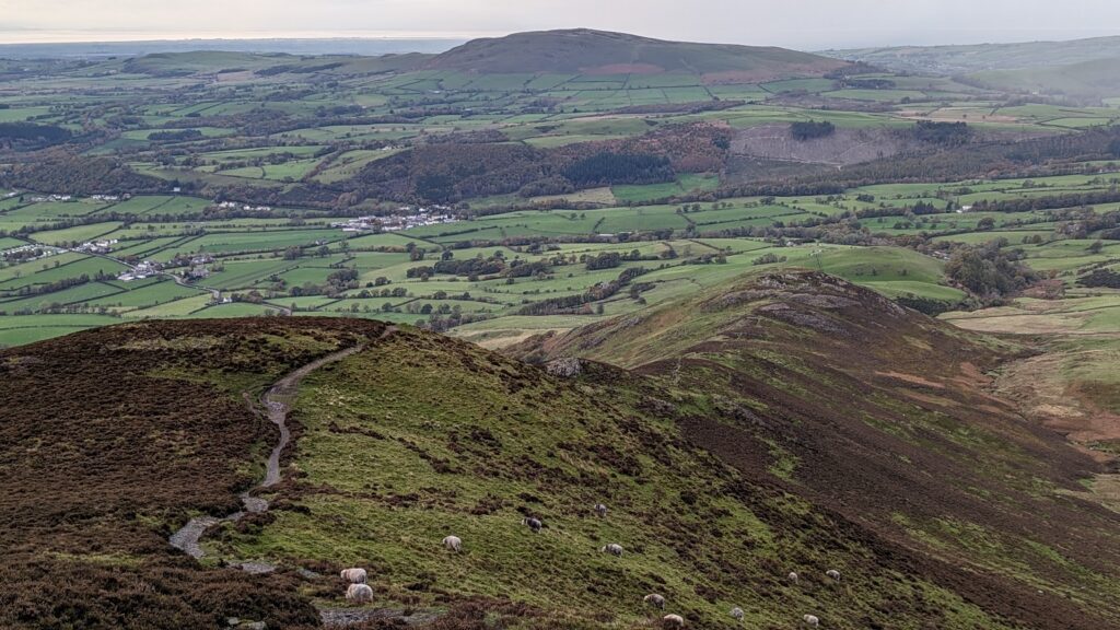 Binsey Fell from Skiddaw